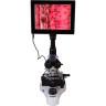 Цифровой тринокулярный микроскоп LEVENHUK MED D10T LCD, арт. 73987